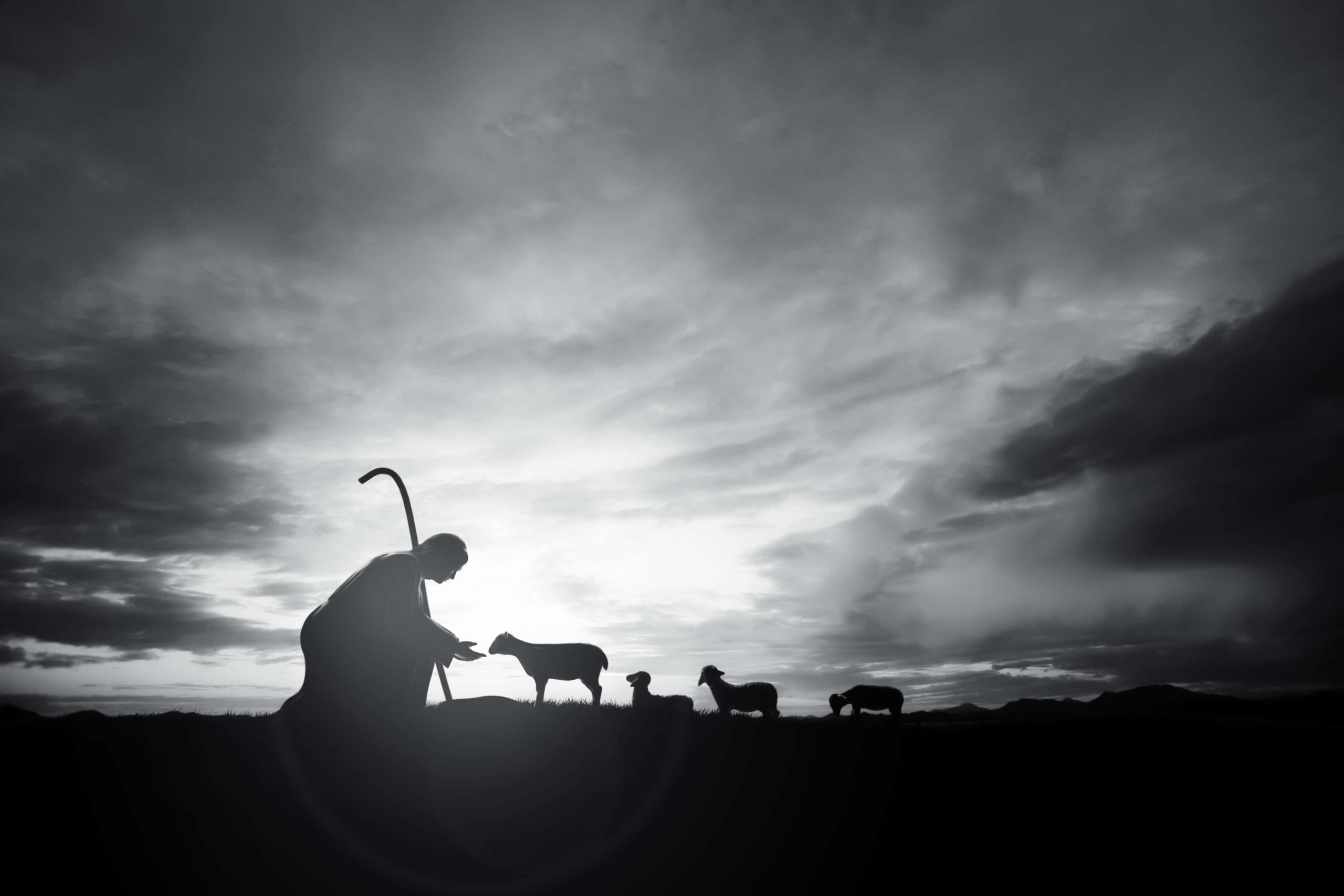 shepherd-jesus-christ-taking-care-lamb-flock-sheep-meadow-web